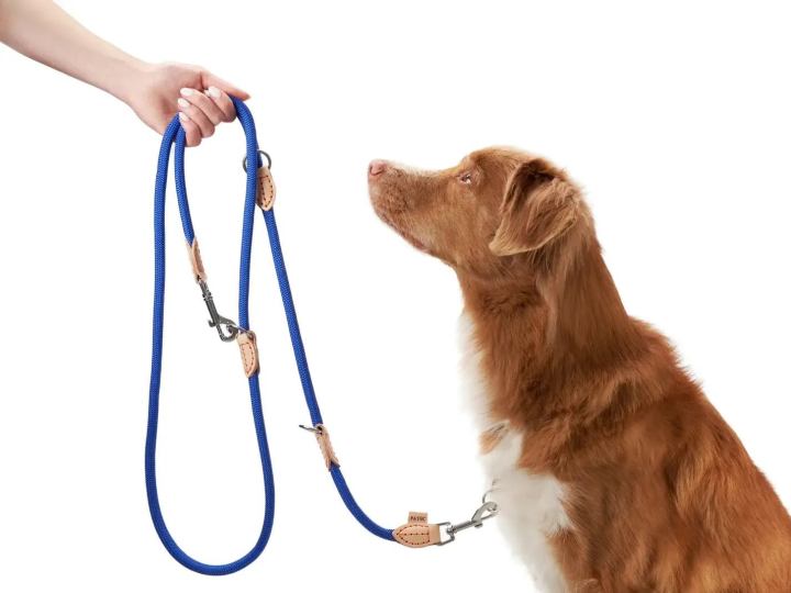 Multi function dog leash pet accessories for sale online in Australia/NZ.