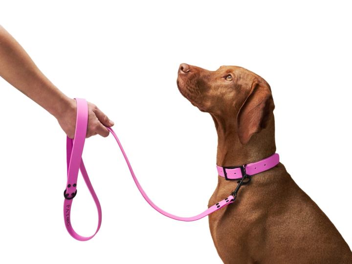 Buy a pink colour waterproof dog leash online for fashionable female dogs in Australia NZ.