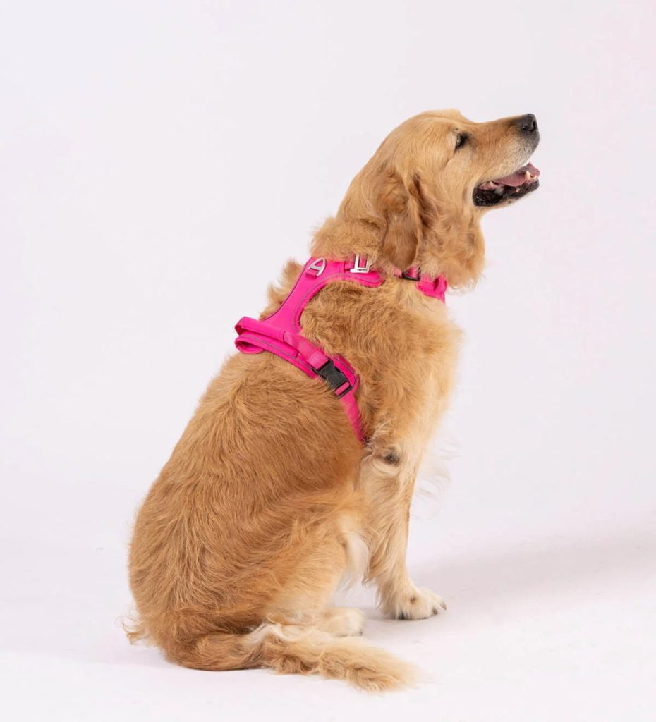 Buy pet dog harness accessories online in Australia NZ.