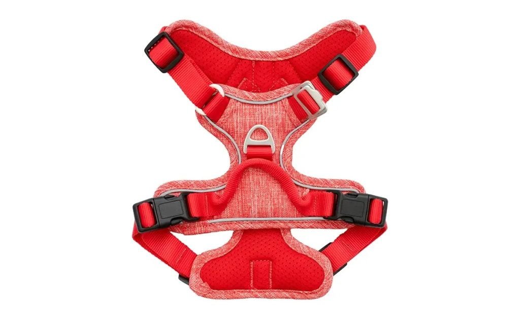 Red dog harness accessories available online in Australia NZ.