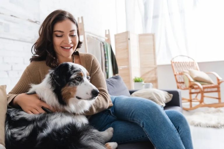 No-Pull Dog Harness Perfect for Australian Shepherds